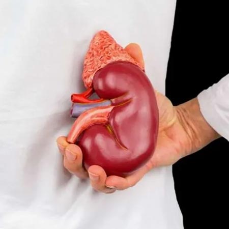 Urinary Tract Problems in Children